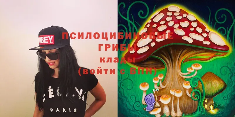 Псилоцибиновые грибы Magic Shrooms Покровск